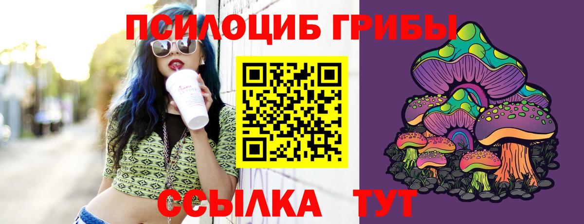 Галлюциногенные грибы Magic Shrooms Тольятти